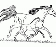 Coloriage Cheval et poulain au galop dessin gratuit à imprimer