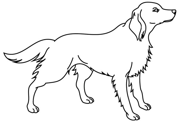 Coloriage Chien de garde facile dessin gratuit à imprimer