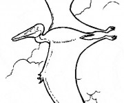 Coloriage Dinosaure qui vole dessin gratuit à imprimer