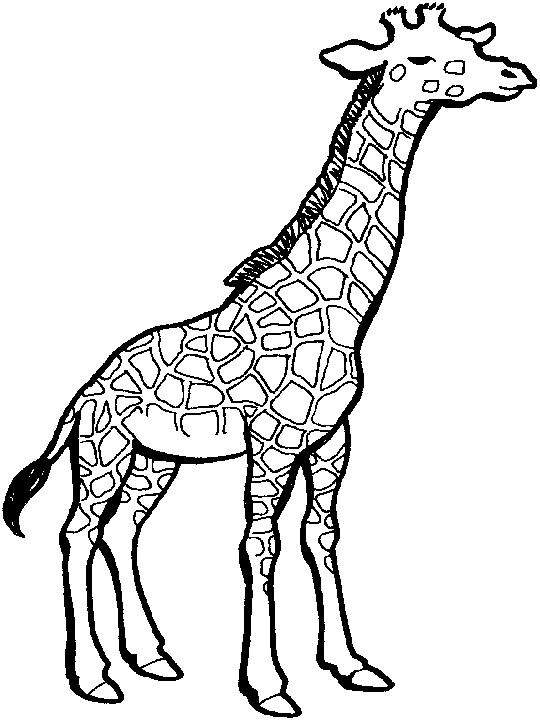 Coloriage Girafe Avec Yeux Fermés Dessin Gratuit à Imprimer