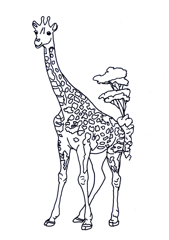 Coloriage Girafe Dans La Savane Dessin Gratuit à Imprimer