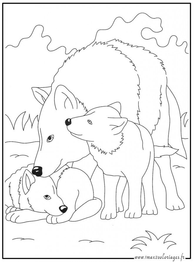 Coloriage Loup 15 dessin gratuit à imprimer