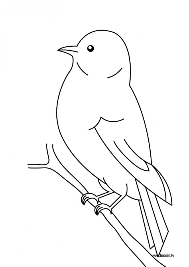 Coloriage Oiseau gratuit à imprimer