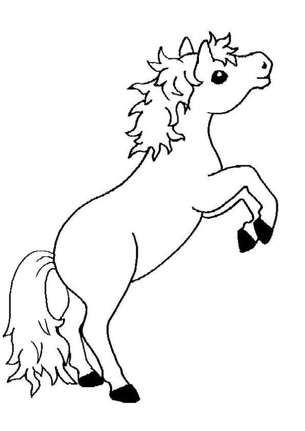 Coloriage Poney gratuit à imprimer