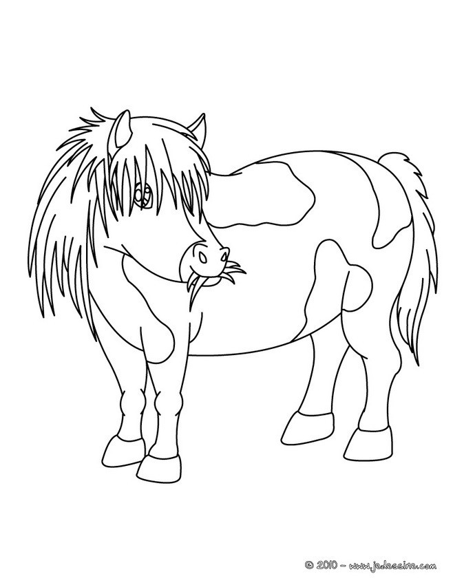 Coloriage Poney gratuit à imprimer