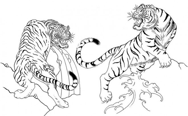 Coloriage Tigres se combattent dessin gratuit à imprimer