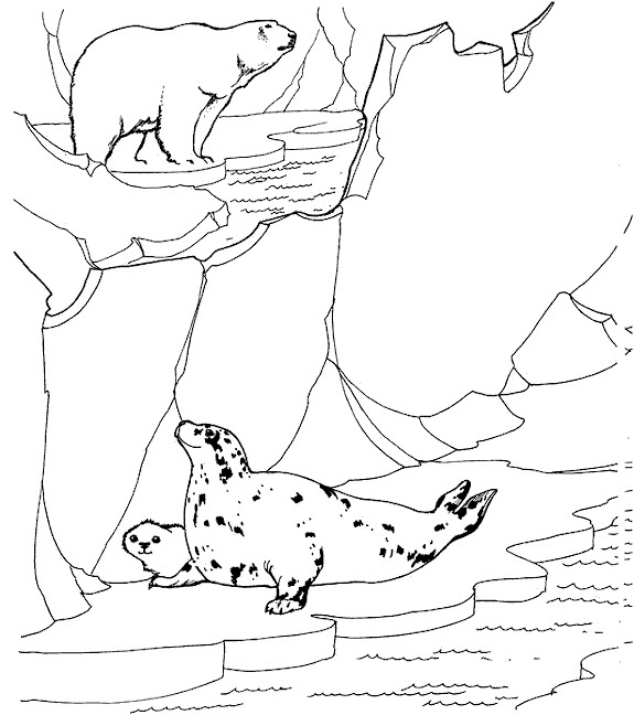 Coloriage Animaux polaires dessin gratuit à imprimer