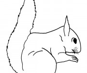 Coloriage L'écureuil facile dessin gratuit à imprimer