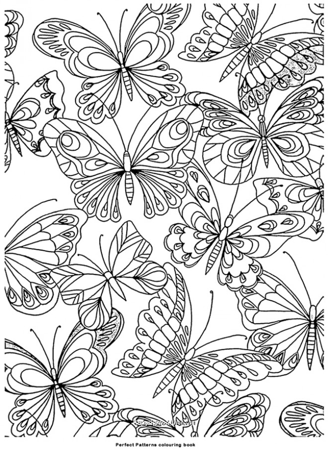 Coloriage Papillon Difficile gratuit à imprimer