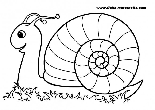 Coloriage Escargot gratuit à imprimer