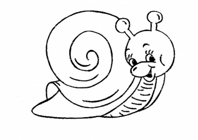 Coloriage Escargot gratuit à imprimer liste 40 à 60