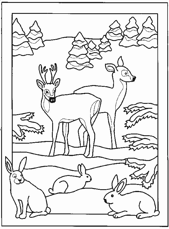 Coloriage Animaux dans la Forêt facile dessin gratuit à imprimer