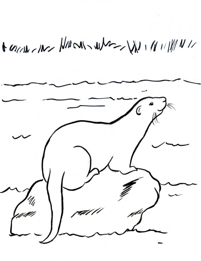 Coloriage Riviere gratuit à imprimer liste 40 à 60