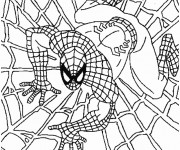 Coloriage Spiderman couleur