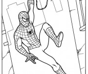 Coloriage Spiderman sur Les Murs