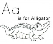 Coloriage Alligator pour enfant