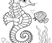 Coloriage Hippocampe et d’un poisson deux animaux de la mer