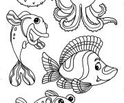Coloriage Illustration des animaux de la mer