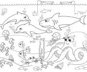 Coloriage Les animaux de la mer et le fond marin