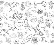 Coloriage et dessins gratuit Tous les animaux de la mer à imprimer