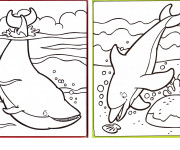 Coloriage et dessins gratuit Baleine et Dauphin à imprimer