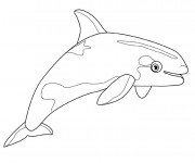 Coloriage et dessins gratuit Une petite Baleine à imprimer