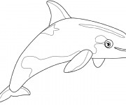 Coloriage et dessins gratuit Beluga couleur à imprimer