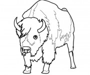 Coloriage et dessins gratuit Bison d'Amérique facile à imprimer