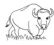Coloriage et dessins gratuit Bison dans le champ à imprimer