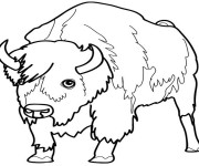 Coloriage et dessins gratuit Le regard de Bison à imprimer