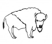 Coloriage Petit dessin d'un Bison
