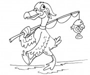 Coloriage Canard pêche un poisson