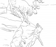 Coloriage Caribou et les loups