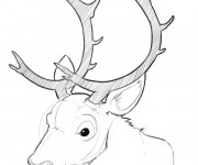 Coloriage Tête de caribou avec ses grosses cornes