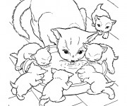 Coloriage Chat et ses chatons