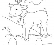 Coloriage Chèvre heureuse portant une clochette