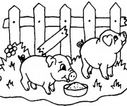 Coloriage et dessins gratuit Cochons qui mangent à imprimer