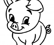 Coloriage Un Bébé Cochon