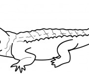 Coloriage Crocodile en couleur