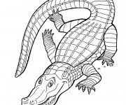 Coloriage Crocodile en ligne