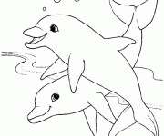 Coloriage Petits Dauphins