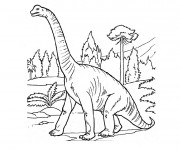 Coloriage Dinosaure Brachiosaure