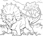 Coloriage Dinosaure tricératops facile