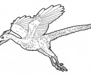 Coloriage et dessins gratuit Dinosaure volant à imprimer