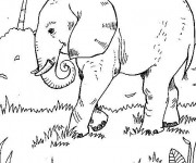 Coloriage et dessins gratuit Éléphant dans la nature à imprimer