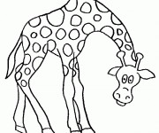 Coloriage et dessins gratuit Girafe baissant la tête à imprimer