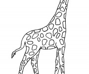 Coloriage Girafe en plein air