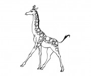 Coloriage Girafe en train de marcher
