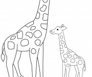 Coloriage Girafe et son petit