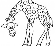 Coloriage et dessins gratuit Girafe rigolote à imprimer
